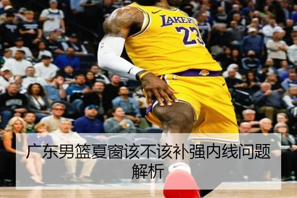广东男篮夏窗该不该补强内线问题解析